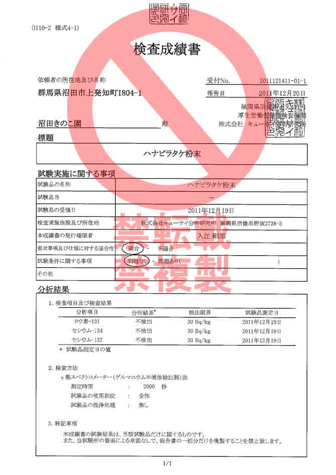 �ϥʥӥ饿��ʴ����������ʪ���������