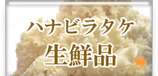 ��̣�������Τ��������ϥʥӥ饿��