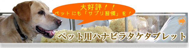 �ڥå��ѥϥʥӥ饿��100�󥿥֥�å�