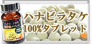 �ϥʥӥ饿��100�󥿥֥�å�