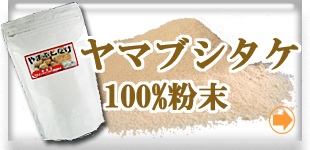 ��ޥ֥������ʻ�������100��ʴ��